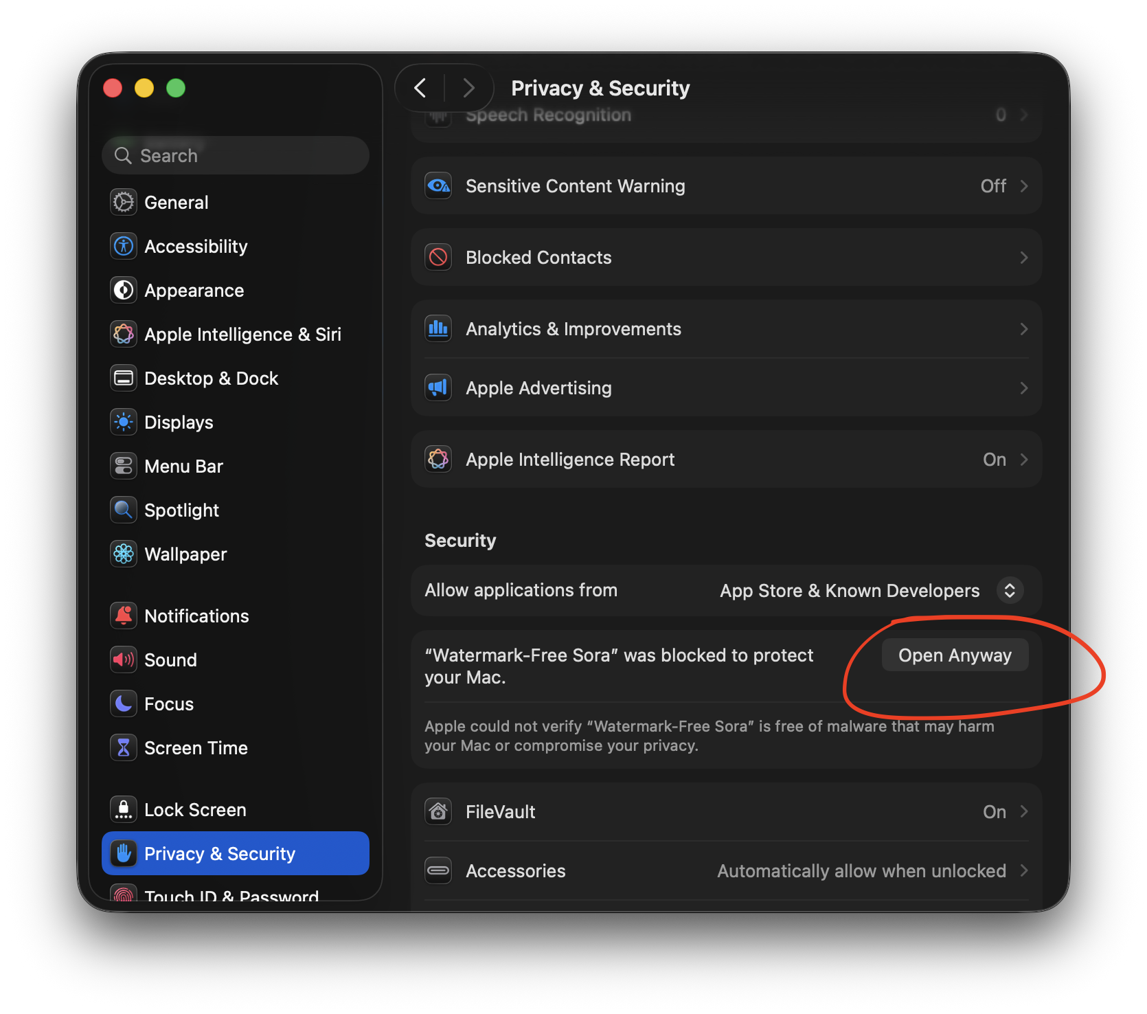 macOS Privacy & Security showing the Open Anyway button for Watermark-Free Sora